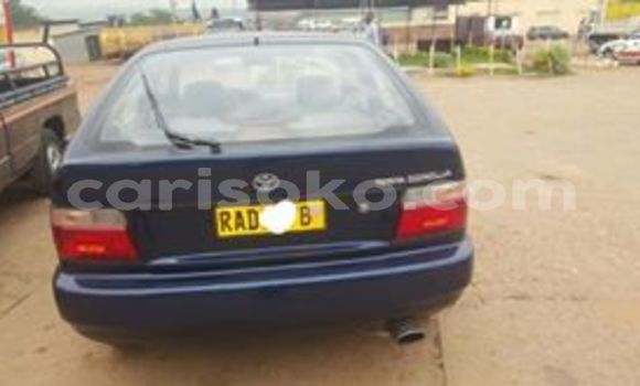 Buy Used Toyota Corolla Blue Car in Kigali in Rwanda Buy Used Toyota Corolla Blue Car in Kigali in Rwanda