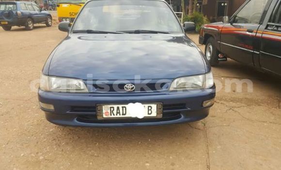 Buy Used Toyota Corolla Blue Car in Kigali in Rwanda Buy Used Toyota Corolla Blue Car in Kigali in Rwanda