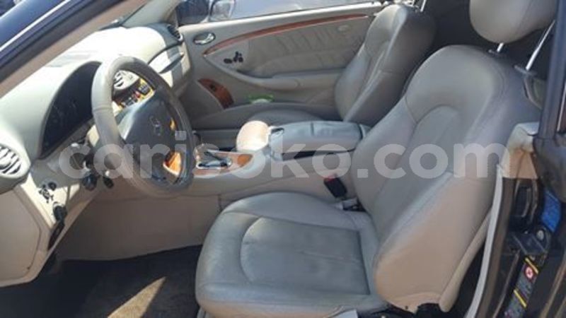 Big with watermark 65685512 228091504835101 8280807211383390208 n