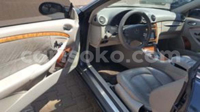 Big with watermark 65507564 228091541501764 812541803050827776 n