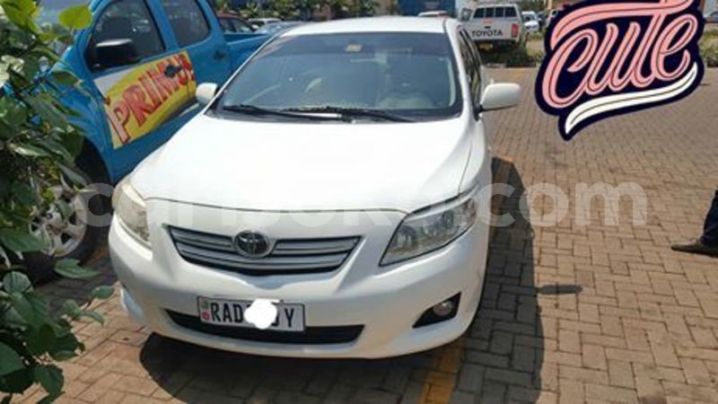 Big with watermark 65526171 227969791513939 7923360572513452032 n