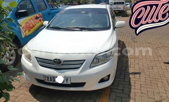 Buy Used Toyota Corolla White Car in Kigali in Rwanda Buy Used Toyota Corolla White Car in Kigali in Rwanda