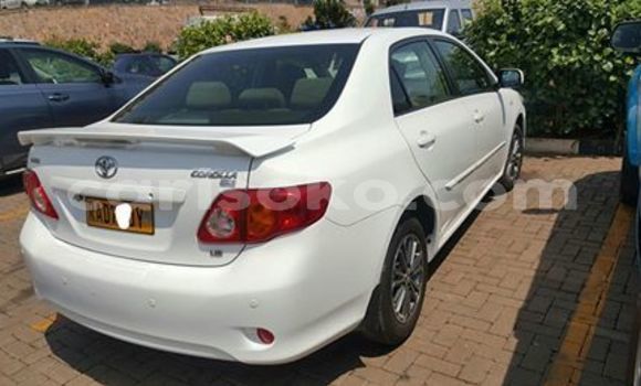 Buy Used Toyota Corolla White Car in Kigali in Rwanda Buy Used Toyota Corolla White Car in Kigali in Rwanda