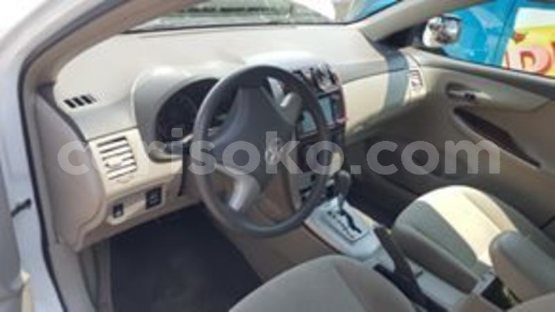 Big with watermark 65780639 227969858180599 8508026537713336320 n