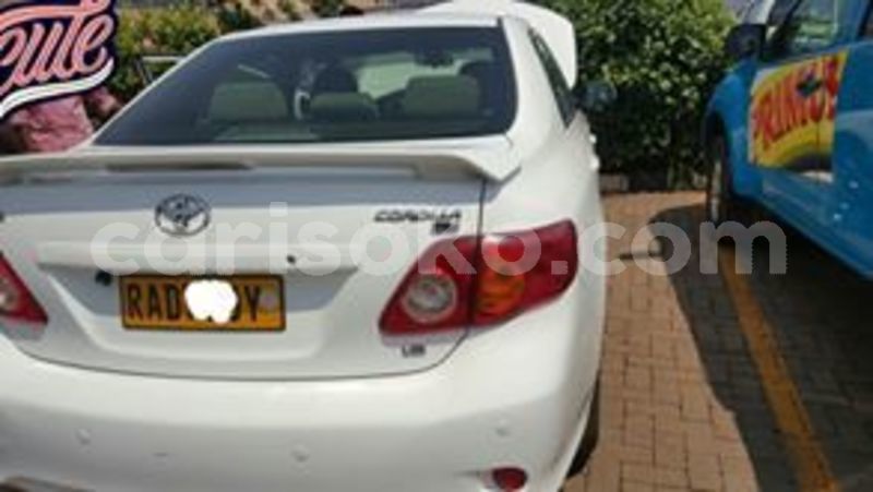 Big with watermark 65868068 227969841513934 6341365525729247232 n