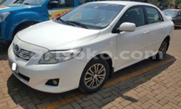 Buy Used Toyota Corolla White Car in Kigali in Rwanda Buy Used Toyota Corolla White Car in Kigali in Rwanda
