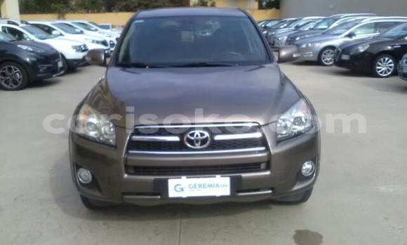 Buy Used Toyota RAV4 Brown Car in Kigali in Rwanda Buy Used Toyota RAV4 Brown Car in Kigali in Rwanda