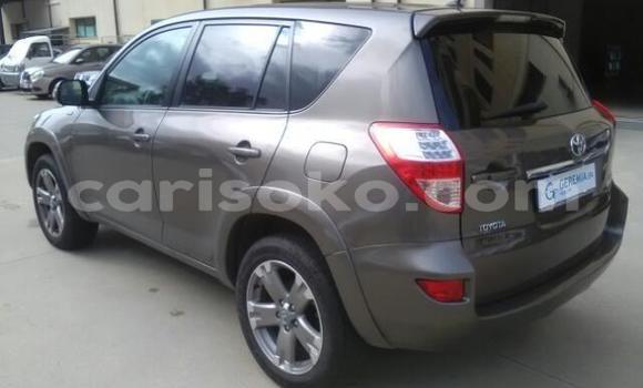Buy Used Toyota RAV4 Brown Car in Kigali in Rwanda Buy Used Toyota RAV4 Brown Car in Kigali in Rwanda