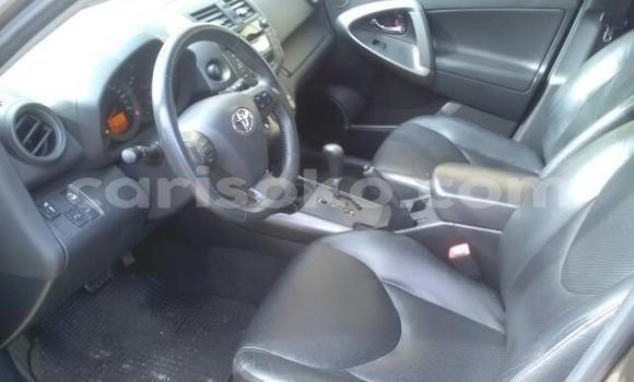 Buy Used Toyota RAV4 Brown Car in Kigali in Rwanda Buy Used Toyota RAV4 Brown Car in Kigali in Rwanda