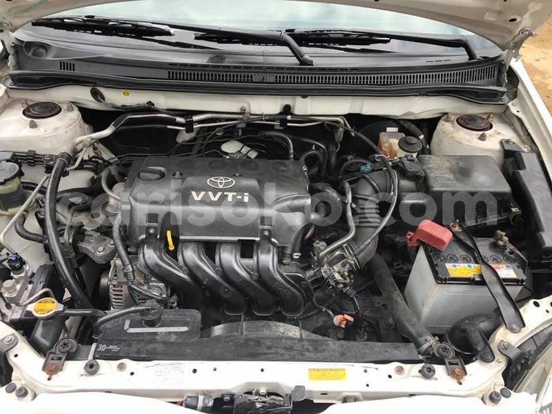 Big with watermark bb9