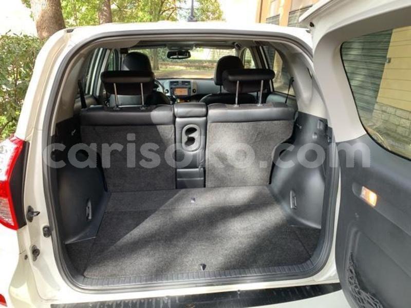 Big with watermark 640x480 4