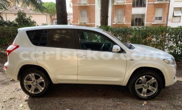 Buy Used Toyota RAV4 White Car in Kigali in Rwanda Buy Used Toyota RAV4 White Car in Kigali in Rwanda