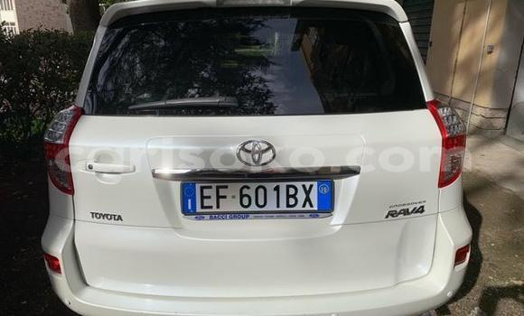 Buy Used Toyota RAV4 White Car in Kigali in Rwanda Buy Used Toyota RAV4 White Car in Kigali in Rwanda