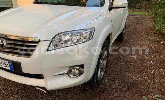 Buy Used Toyota RAV4 White Car in Kigali in Rwanda Buy Used Toyota RAV4 White Car in Kigali in Rwanda