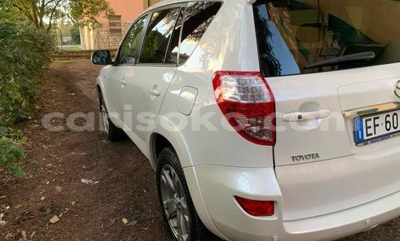 Buy Used Toyota RAV4 White Car in Kigali in Rwanda Buy Used Toyota RAV4 White Car in Kigali in Rwanda