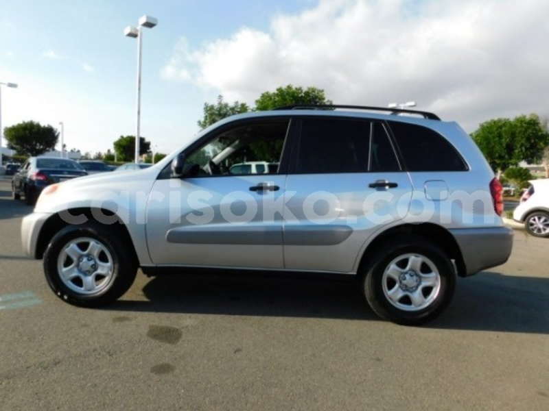 Big with watermark 15