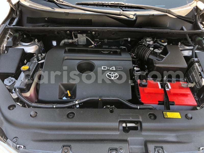 Big with watermark 21560946627420394 nr.pic