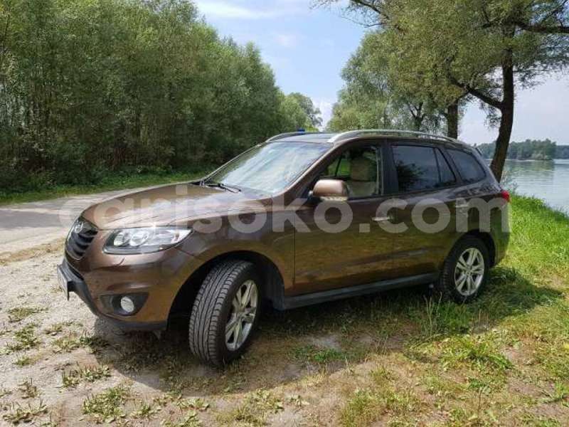 Big with watermark t3