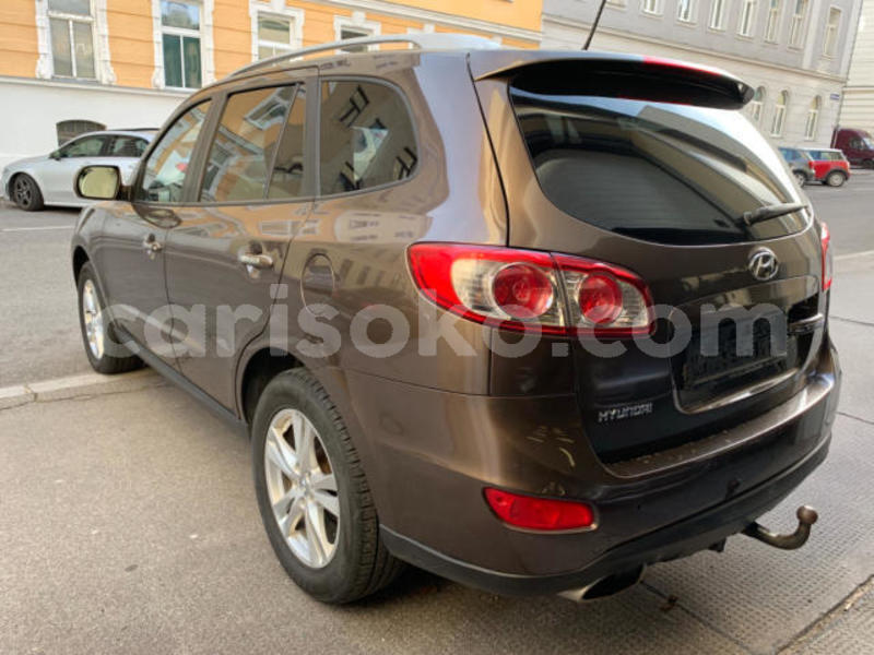 Big with watermark t8