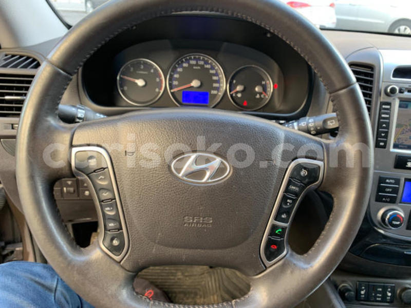 Big with watermark t9