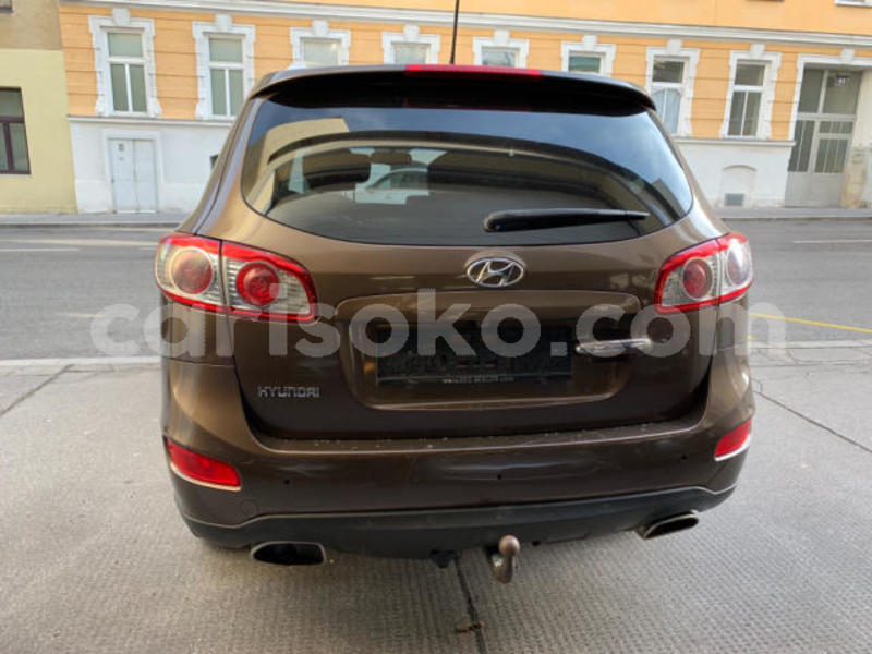 Big with watermark t10