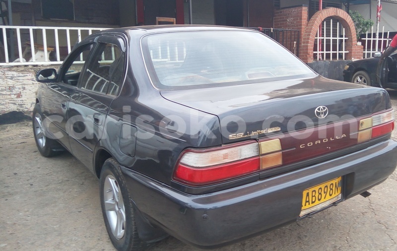 Big with watermark img 20160518 162649