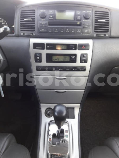 Big with watermark best20