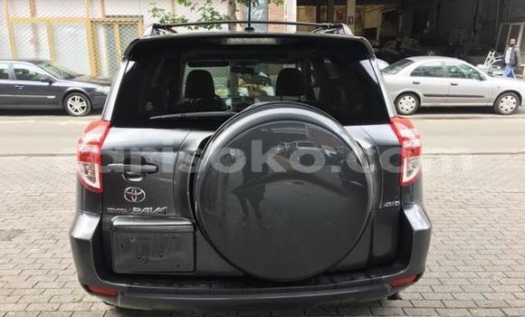 Buy Used Toyota RAV4 Beige Car in Kigali in Rwanda Buy Used Toyota RAV4 Beige Car in Kigali in Rwanda