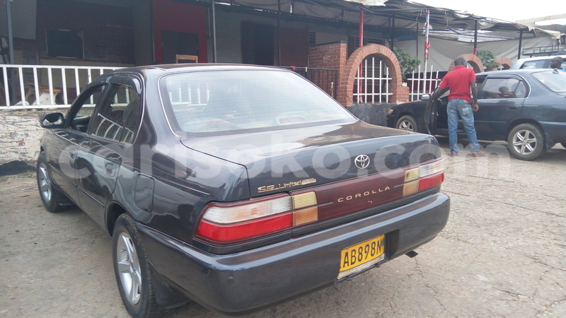 Big with watermark img 20160518 162649