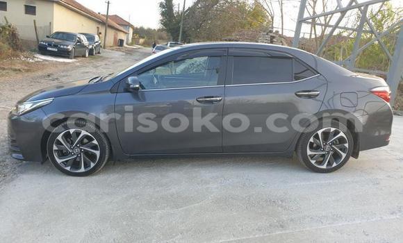 Buy Used Toyota Corolla Other Car in Kigali in Rwanda Buy Used Toyota Corolla Other Car in Kigali in Rwanda