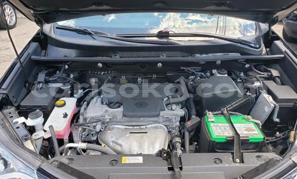 Buy Used Toyota RAV4 Beige Car in Kigali in Rwanda Buy Used Toyota RAV4 Beige Car in Kigali in Rwanda