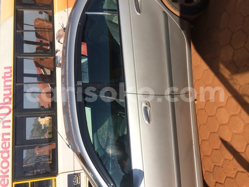 Big with watermark image