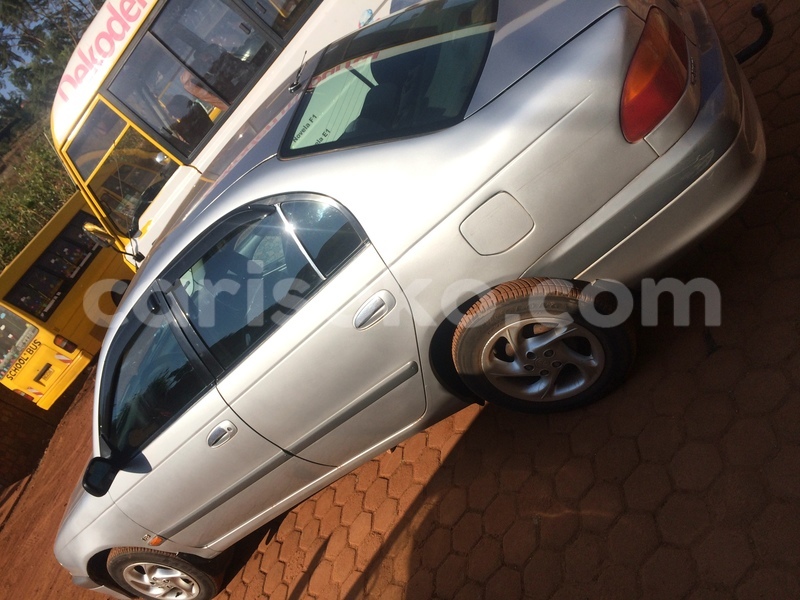 Big with watermark image