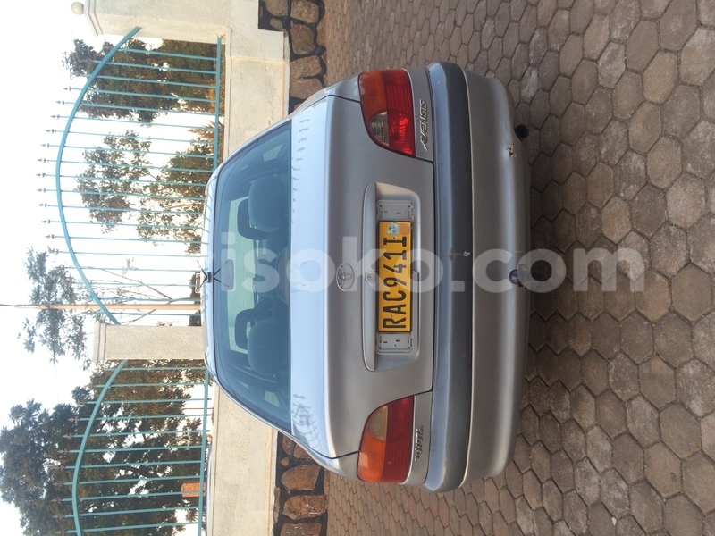 Big with watermark image