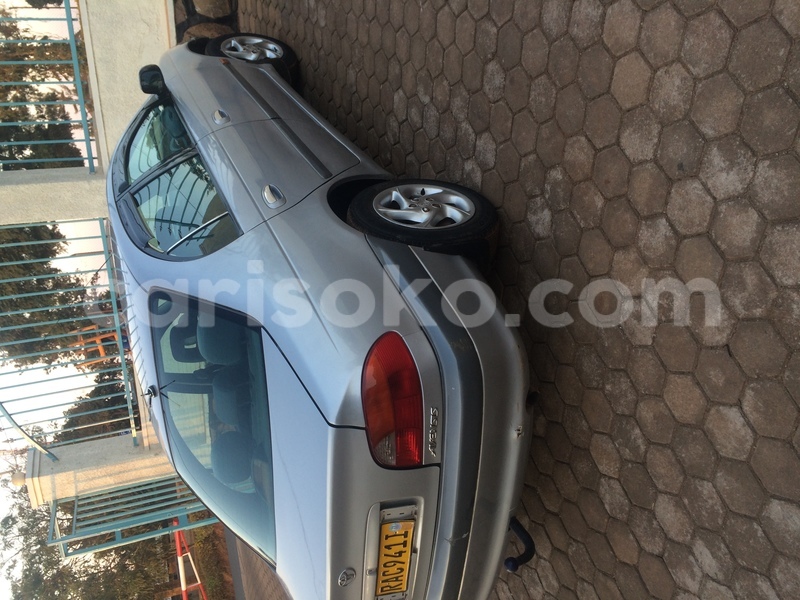 Big with watermark image