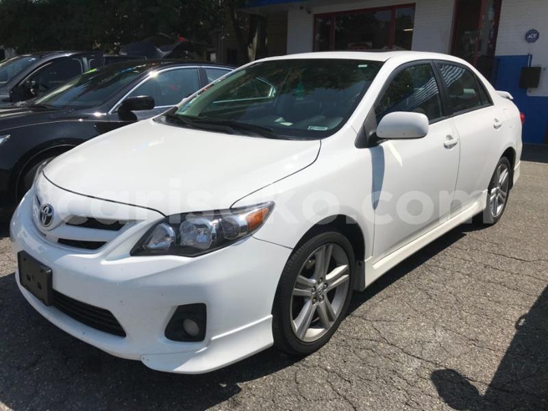 Big with watermark m13