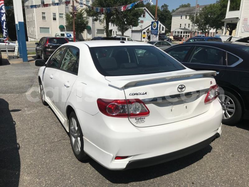 Big with watermark m14