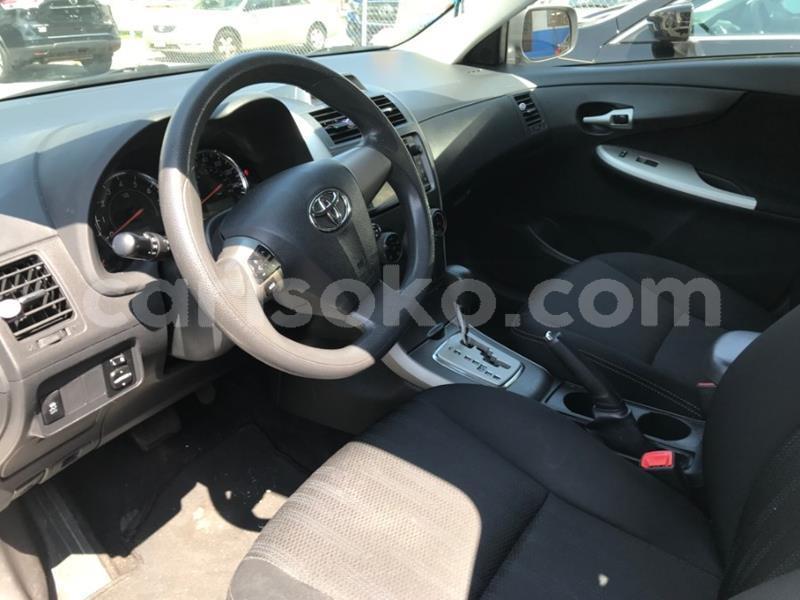 Big with watermark m16