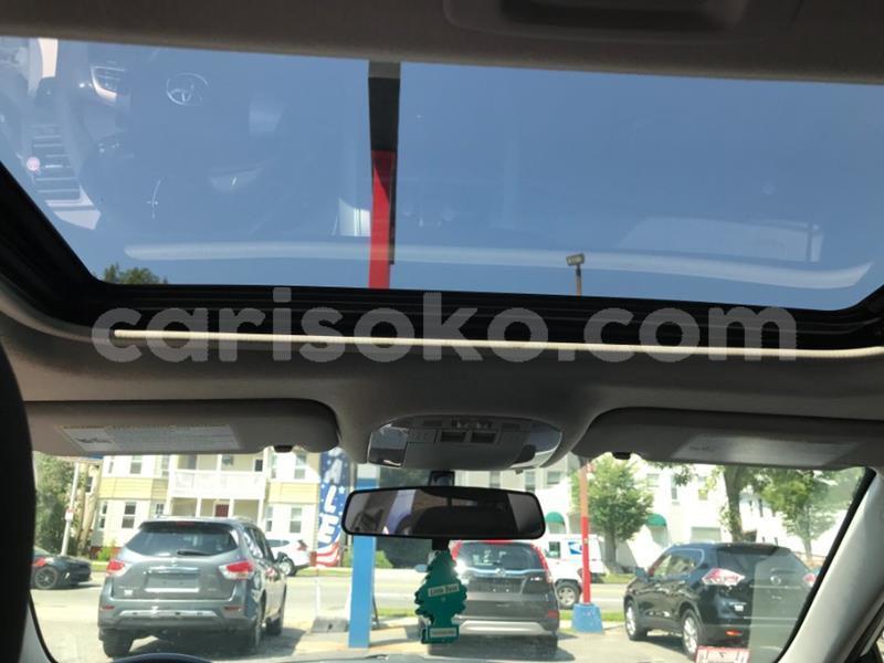 Big with watermark m17