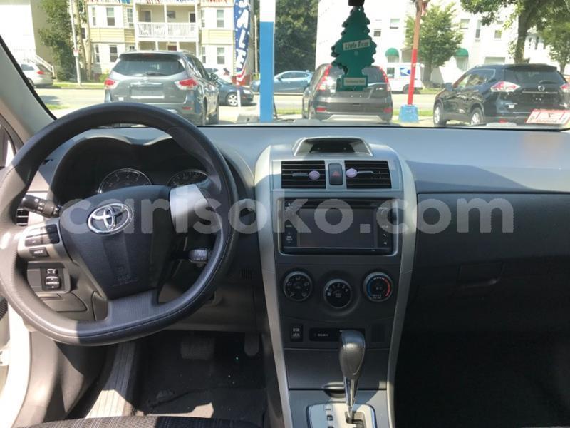 Big with watermark m18