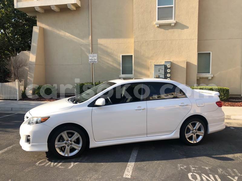 Big with watermark m4