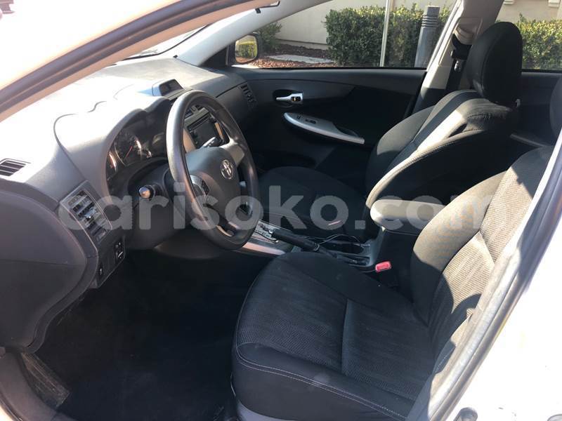 Big with watermark m8