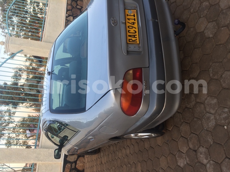 Big with watermark image