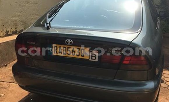 Acheter Occasion Voiture Toyota Corolla Autre à Kigali au Rwanda Acheter Occasion Voiture Toyota Corolla Autre à Kigali au Rwanda