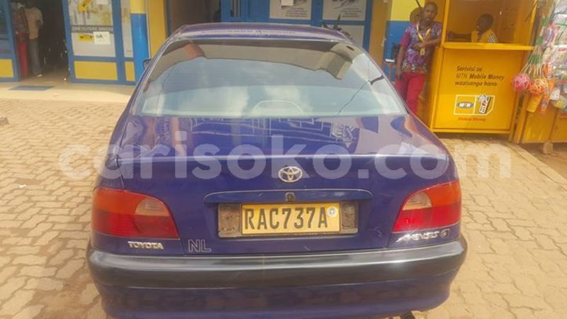 Big with watermark 25075045 1436706473124388 2663118157098388861 o