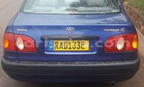 Acheter Occasion Voiture Toyota Corolla Bleu à Kigali, Rwanda Acheter Occasion Voiture Toyota Corolla Bleu à Kigali, Rwanda