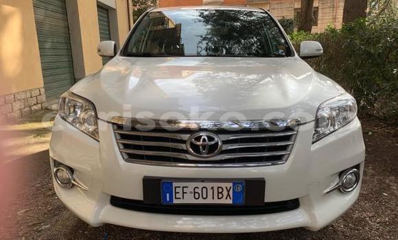 Buy Used Toyota RAV4 White Car in Kigali in Rwanda Buy Used Toyota RAV4 White Car in Kigali in Rwanda