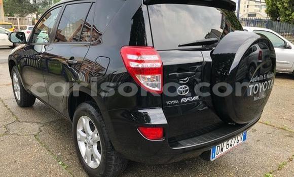 Buy Import Toyota RAV4 Black Car in Kigali in Rwanda Buy Import Toyota RAV4 Black Car in Kigali in Rwanda