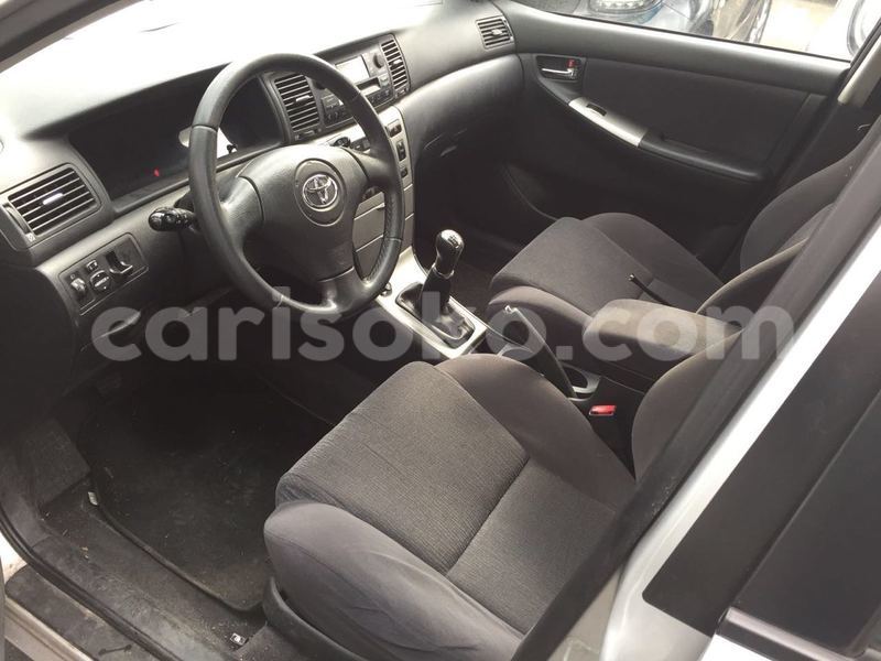 Big with watermark image