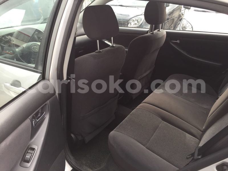 Big with watermark image